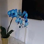 Blu Marina Apartment *