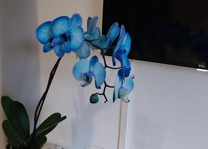 Blu Marina Appartement *