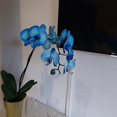 Blu Marina Apartamento *